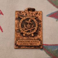 Medaglia Rettangolare Fondazione Alpina Trento