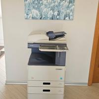 Stampante multifunzione Toshiba e-STUDIO 2050C