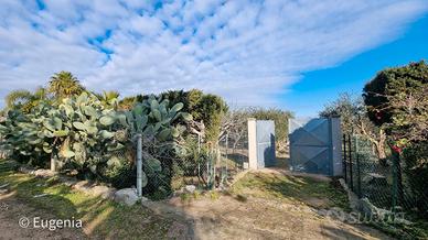 Terreno Agricolo di Pregio a due passi da Lecce