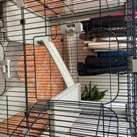 gabbia per piccoli animali domestici