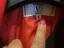 Immagine 2