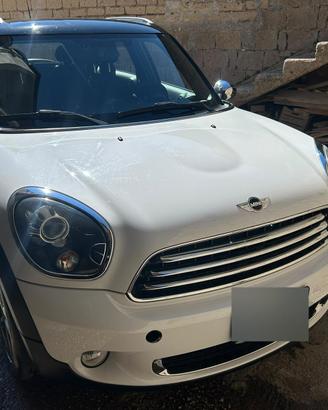 mini countryman d