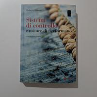 Sistemi di controllo e misure di performance 