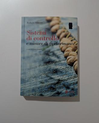 Sistemi di controllo e misure di performance 
