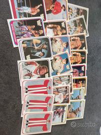 lotto 37 card wwe WWF 1991 wrestling merlin