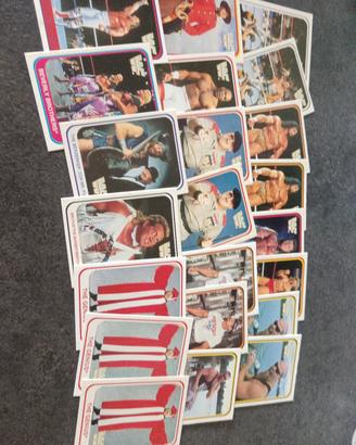 lotto 37 card wwe WWF 1991 wrestling merlin