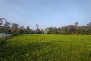TERRENO A BARZANA