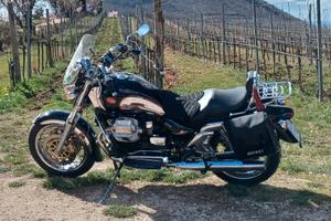 Moto Guzzi California 1100 - 2005
