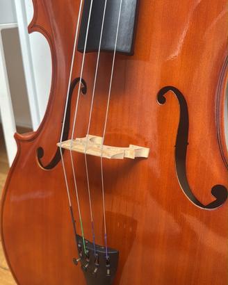 Violoncello 4/4 Music Fidelity come nuovo