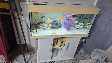 acquario Juwell Rio 180 litri 