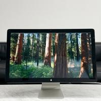 Apple Thunderbolt Display 27 pollici