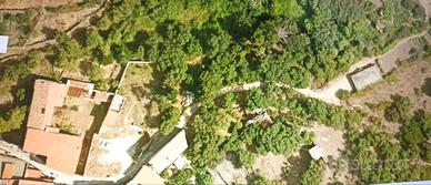 Terreno 3.821mq edificabile/agricolo a Olzai