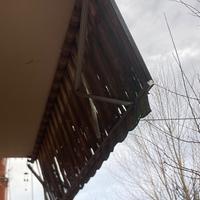 Tenda da sole avvolgibile