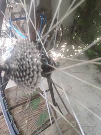 cerchioni MTB. 26