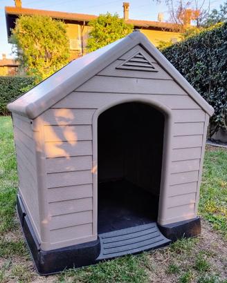 cuccia per cani in resina