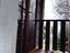 Immagine 23