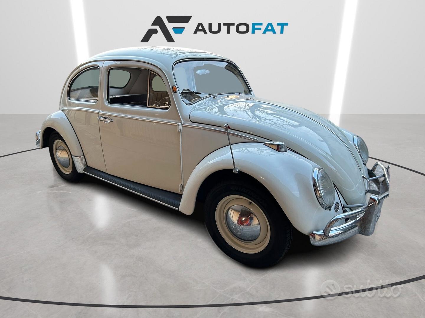 Volkswagen Maggiolino