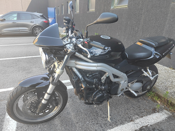 Triumph speed triple 955i