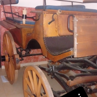 Cavalli frisoni spagnoli