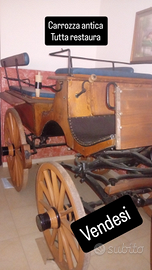 Cavalli frisoni spagnoli