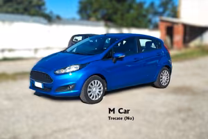 Ford Fiesta 1.2 60CV 5 porte Black & White Edition