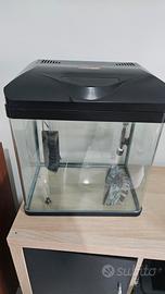 acquario 32l