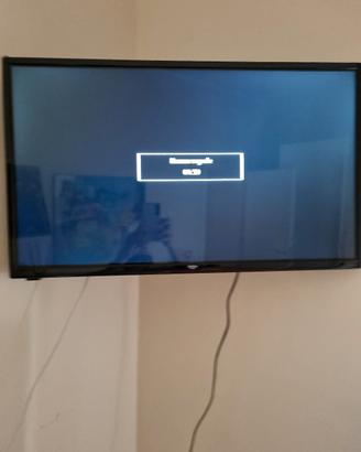 Televisore senza decoder