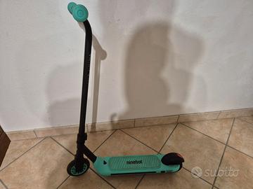 Monopattino elettrico Segway Zing A6