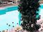 Immagine 29