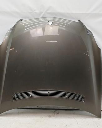 Cofano anteriore mercedes cls320 2007 a2198800157