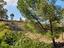 Immagine 11