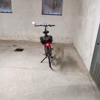 bici elettrica 