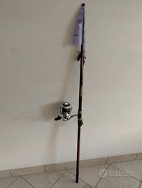Canna surf casting 