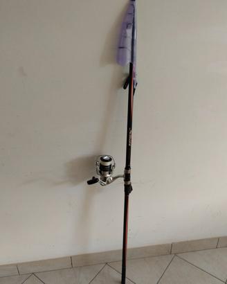 Canna surf casting 