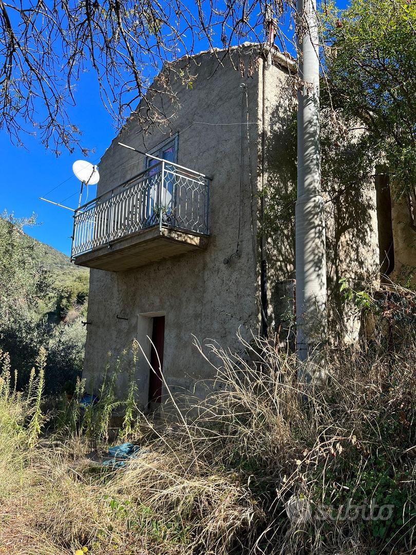 Proprietà terriera con immobili - Vista 5