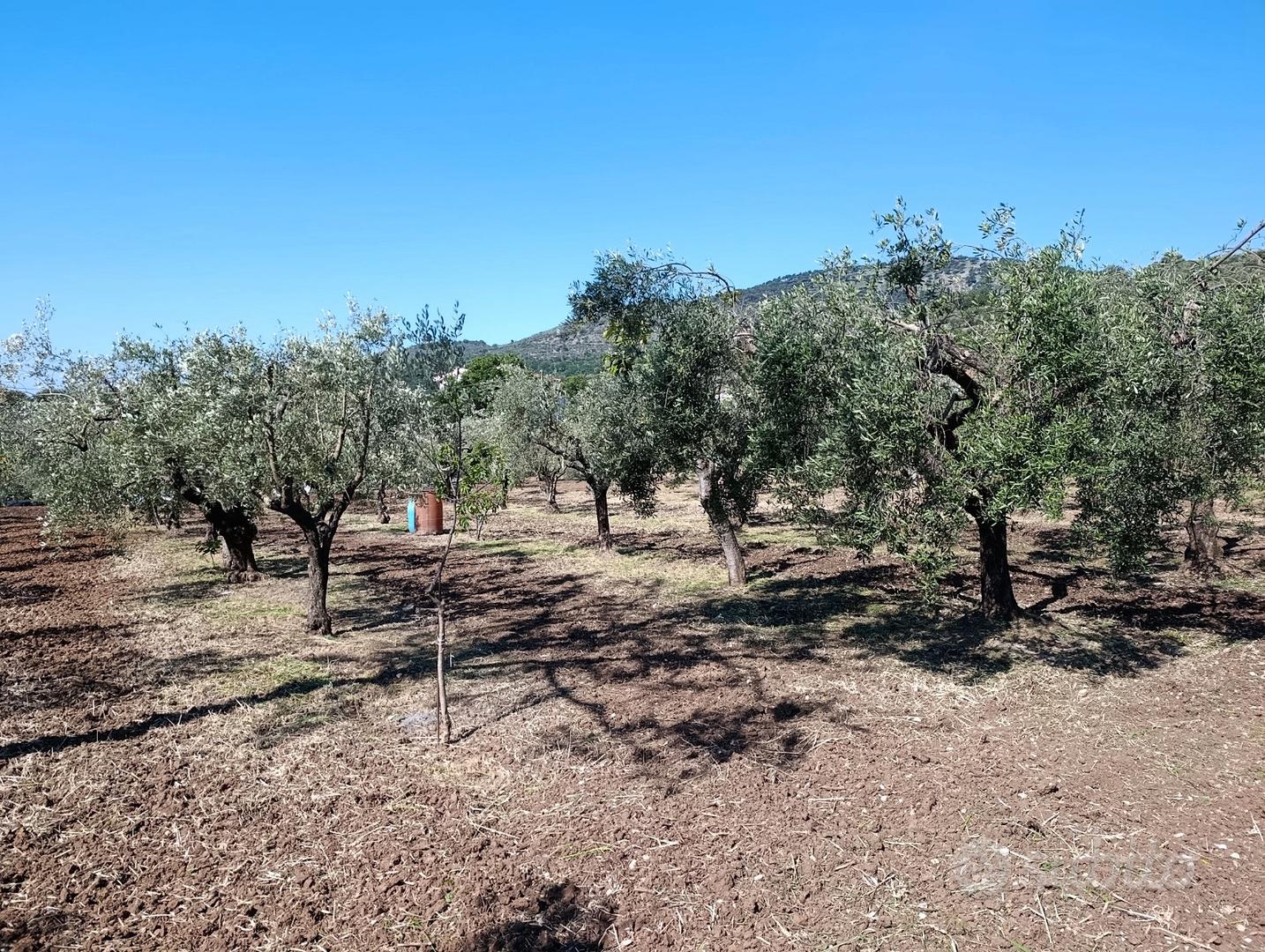 Casa con terreno - Vista 5