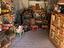 Immagine 2