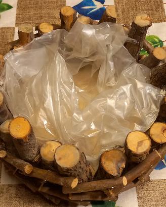 Portavaso in legno con Plastica Protettiva 
