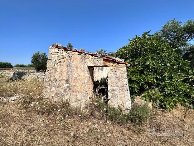 NOVITÀ! Terreno agricolo di 3500 mq con deposito!