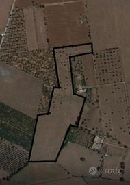 Terreno seminativo 6.30h