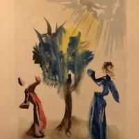 Salvador Dali stampa d’epoca carta BFk Rives 1960