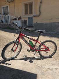 Bicicletta Nuzzi Twister