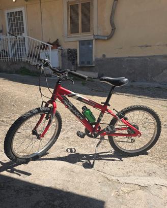 Bicicletta Nuzzi Twister