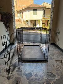 kennel cane