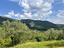 Immagine 18