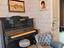 Immagine 21