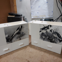 Soffiasemi per canarini