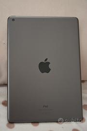 Ipad Apple