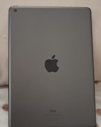 Ipad Apple