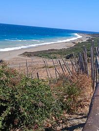 Casa mare villaggio eucalipts
